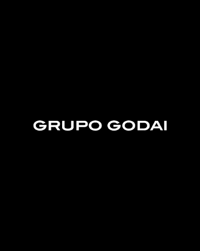 Grupo Godai